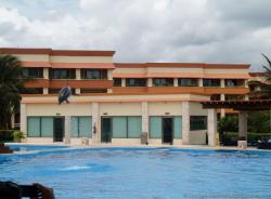 Dolphin leaping very high at Dolphinaris at Gran Bahia Principe Resort.jpg