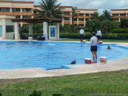 Dolphinaris pool at Gran Bahia Principe Resort.jpg