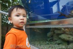 Darwin next to turtle tank at Cancun Interactive Aquarium.jpg
