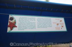 Echinoderms info at Cancun Interactive Aquarium.jpg