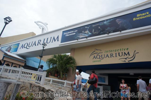 Interactive Aquarium area at La Isla Shopping Village in Cancun.jpg