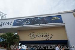 Interactive Aquarium Cancun entrance at La Isla Shopping Village in Cancun.jpg