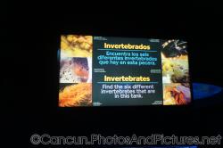 Invertebrates sign at Cancun Interactive Aquarium at La Isla Shopping Village in Cancun.jpg