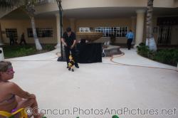 GR Solaris puppet show for kids.jpg