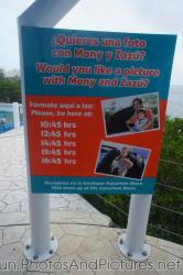Seals kissing schedule for Mony and Zazu at Cancun Interactive Aquarium at La Isla Shopping Village in Cancun.jpg