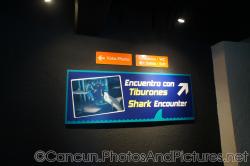 Shark Encounter sign at Cancun Interactive Aquarium at La Isla Shopping Village in Cancun.jpg