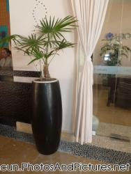 Black cylindrical planter at Ocean Coral & Turquesa lobby.jpg