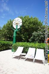 Laughing sunflower next to pool chairs at Ocean Coral & Turquesa.jpg