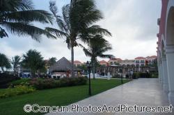 Palm trees at Ocean Coral & Turquesa.jpg