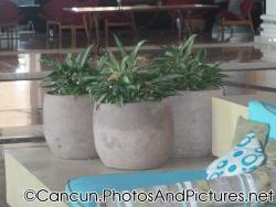 Stone planters and plants at Ocean Coral & Turquesa lobby.jpg